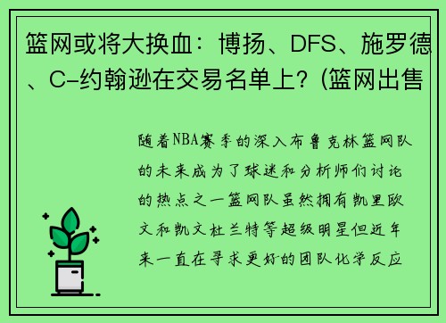 篮网或将大换血：博扬、DFS、施罗德、C-约翰逊在交易名单上？(篮网出售)