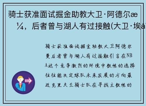 骑士获准面试掘金助教大卫·阿德尔曼，后者曾与湖人有过接触(大卫·埃尔姆)